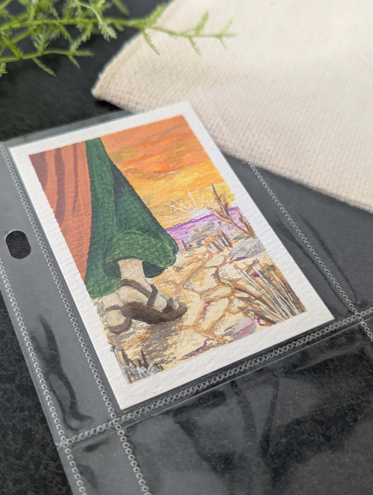 Old Testament Collection - August 2026